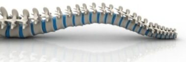 Wolff Chiropractic and Laser Therapy